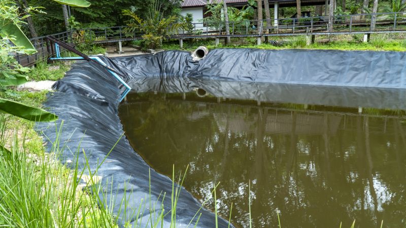 Pond Erosion Repair