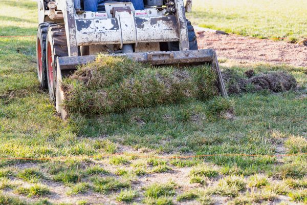 Cost of Landscape Leveling in Easton