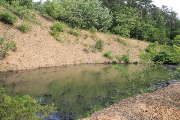 Cost of Pond Erosion Repair in Easton