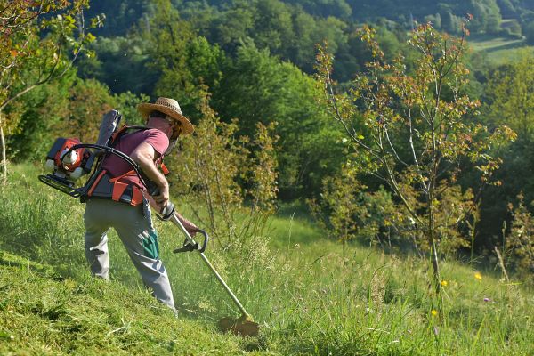 Cost of Slope Trimming in Easton